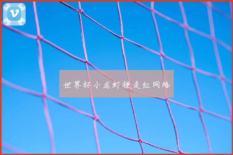世界杯小龙虾梗走红网络