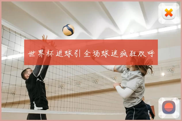 世界杯进球引全场球迷疯狂欢呼