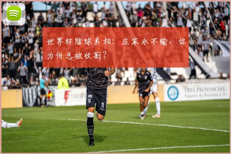 世界杯赌球真相：庄家永不输，你为何总被收割？