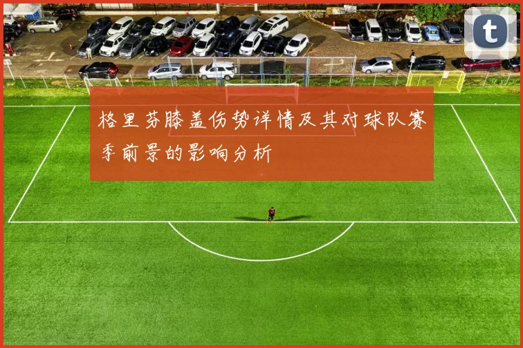 格里芬膝盖伤势详情及其对球队赛季前景的影响分析