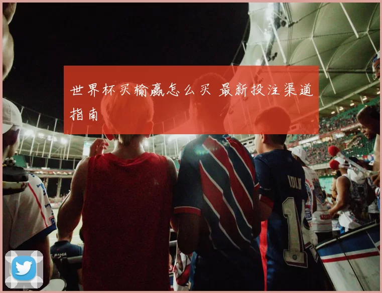 世界杯买输赢怎么买 最新投注渠道指南