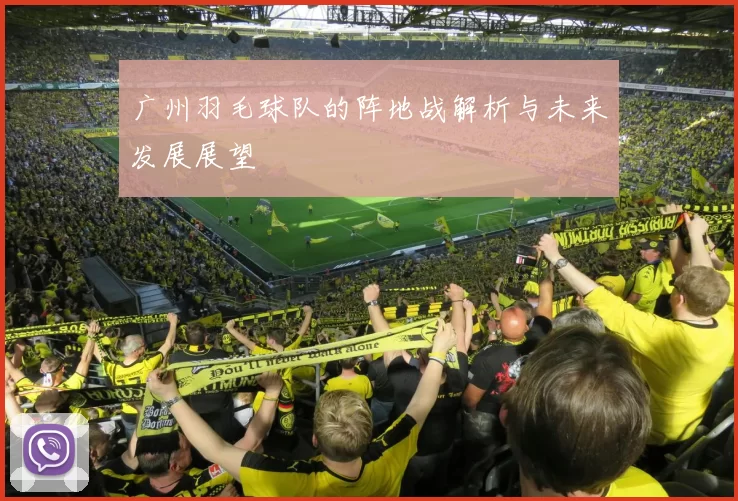 广州羽毛球队的阵地战解析与未来发展展望