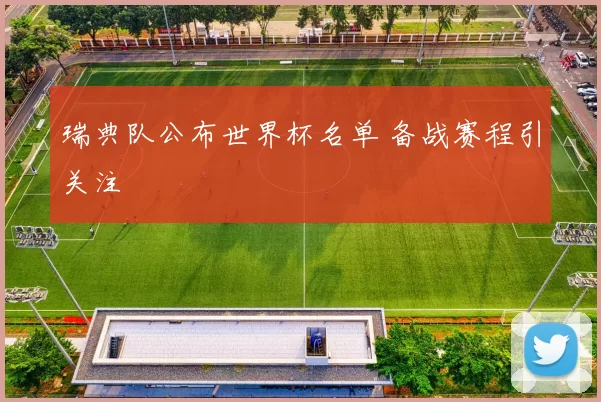 瑞典队公布世界杯名单 备战赛程引关注