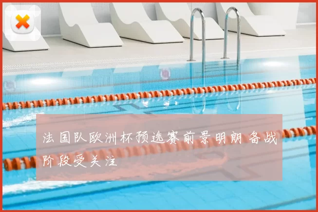 法国队欧洲杯预选赛前景明朗 备战阶段受关注