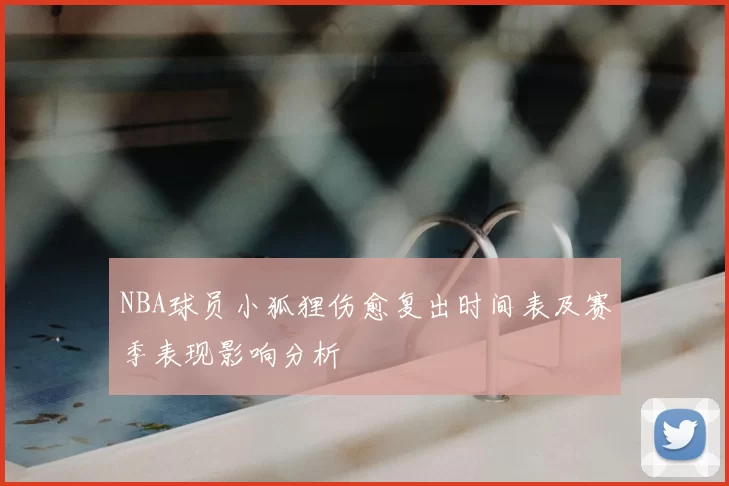NBA球员小狐狸伤愈复出时间表及赛季表现影响分析