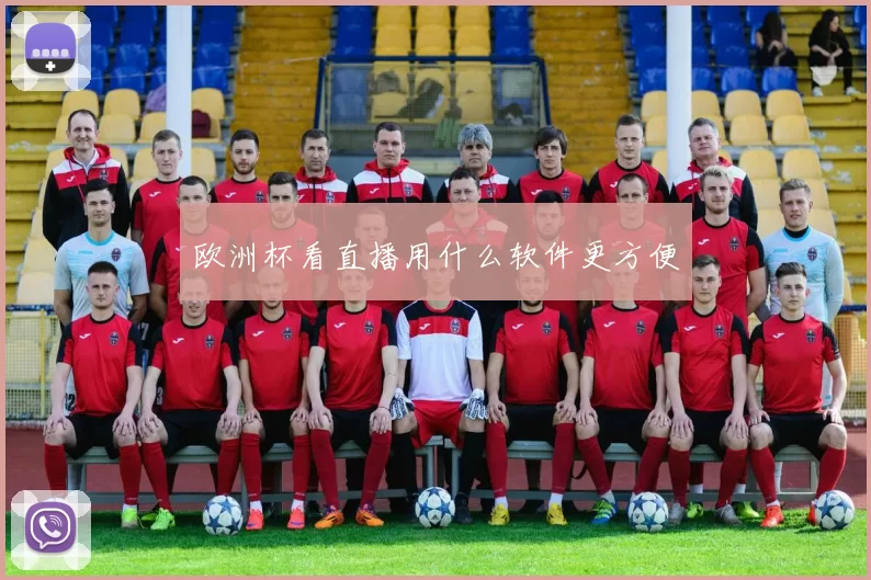 欧洲杯看直播用什么软件更方便