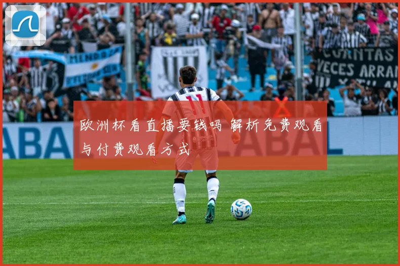欧洲杯看直播要钱吗 解析免费观看与付费观看方式