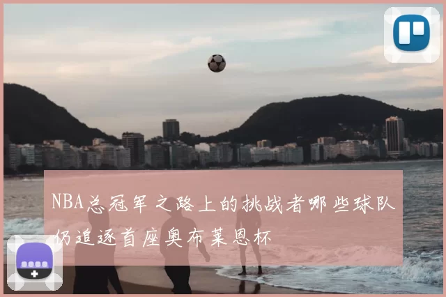 NBA总冠军之路上的挑战者哪些球队仍追逐首座奥布莱恩杯
