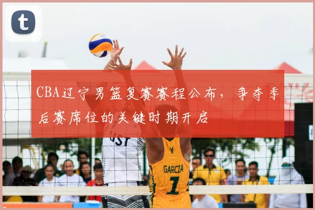 CBA辽宁男篮复赛赛程公布,争夺季后赛席位的关键时期开启