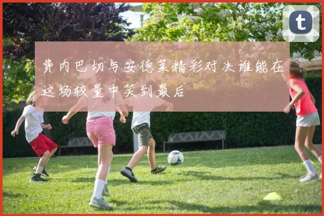 费内巴切与安德莱精彩对决谁能在这场较量中笑到最后