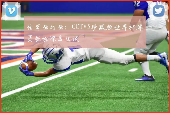 传奇面对面:CCTV5珍藏版世界杯球员教练深度访谈