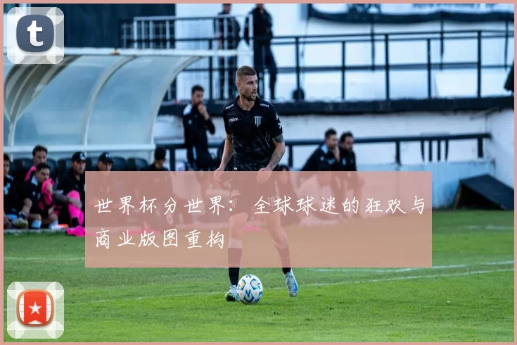 世界杯分世界:全球球迷的狂欢与商业版图重构