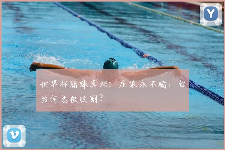 世界杯赌球真相：庄家永不输，你为何总被收割？
