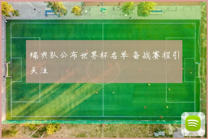 瑞典队公布世界杯名单 备战赛程引关注