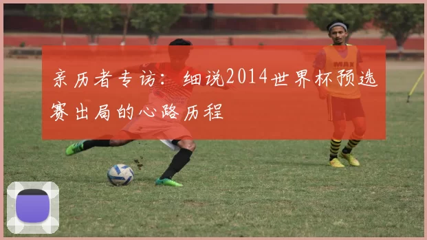 亲历者专访：细说2014世界杯预选赛出局的心路历程