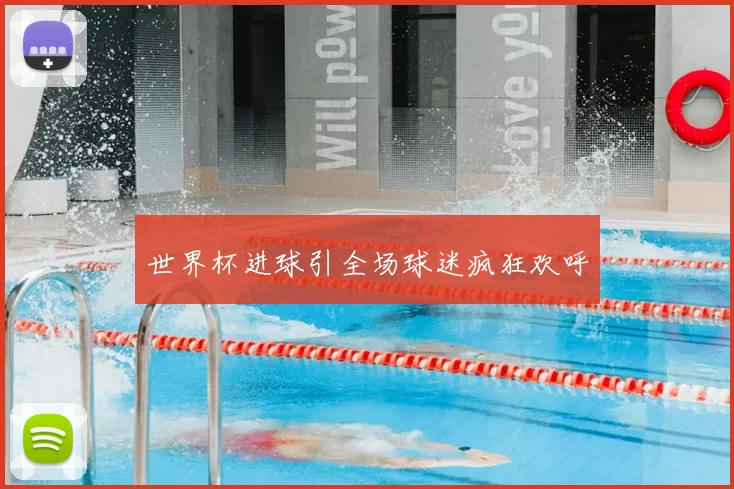 世界杯进球引全场球迷疯狂欢呼